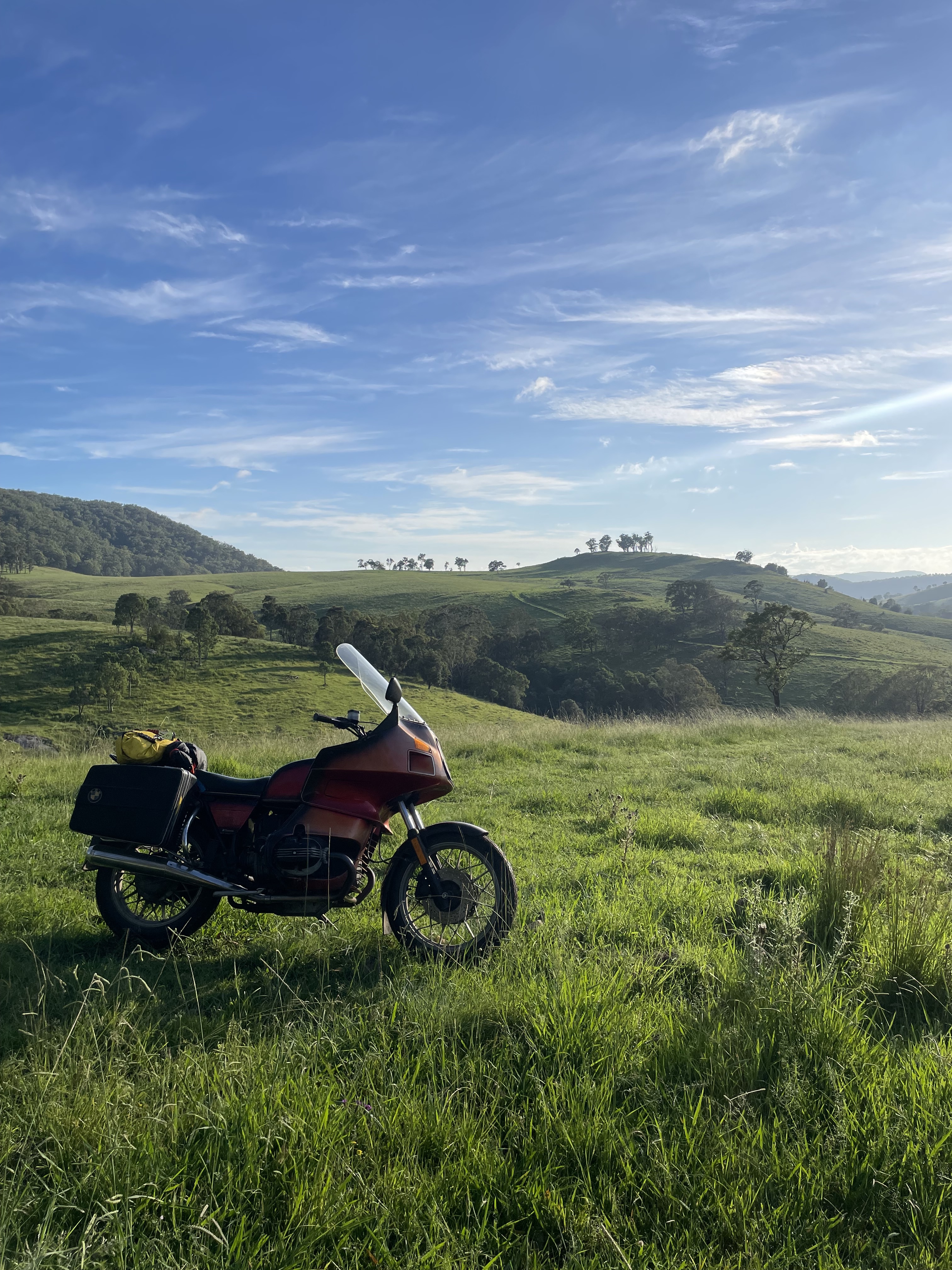 Taz’s 1981 R100RT